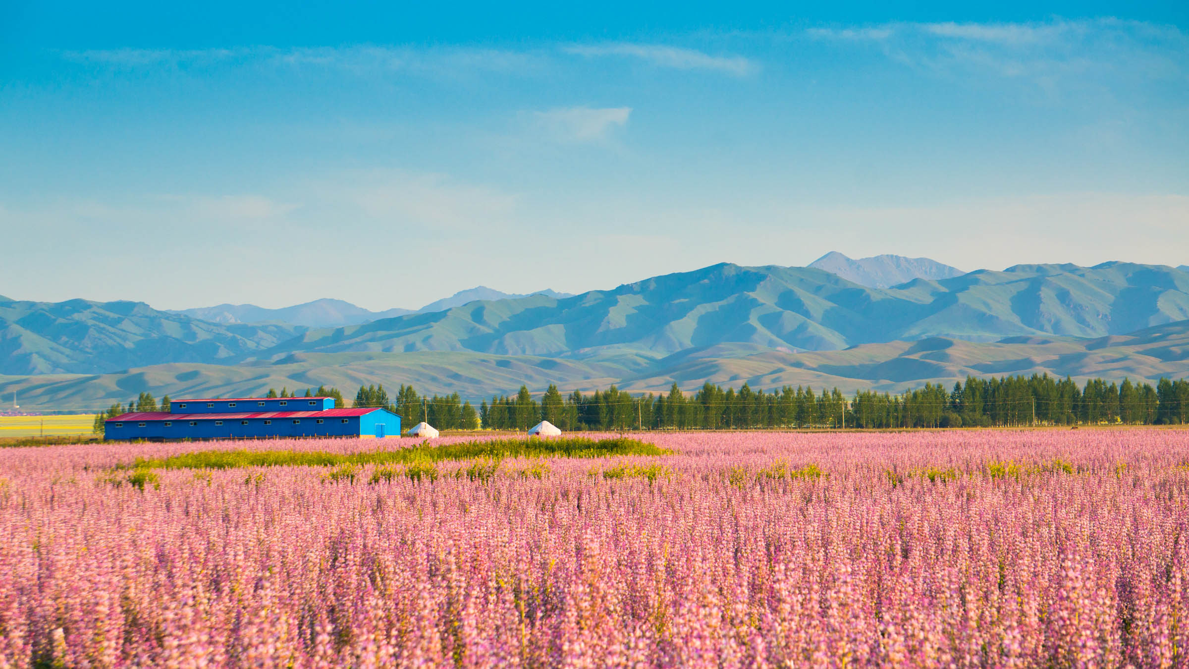 北疆大环线 夏季新疆最美自驾路线，一览北疆绝色风光